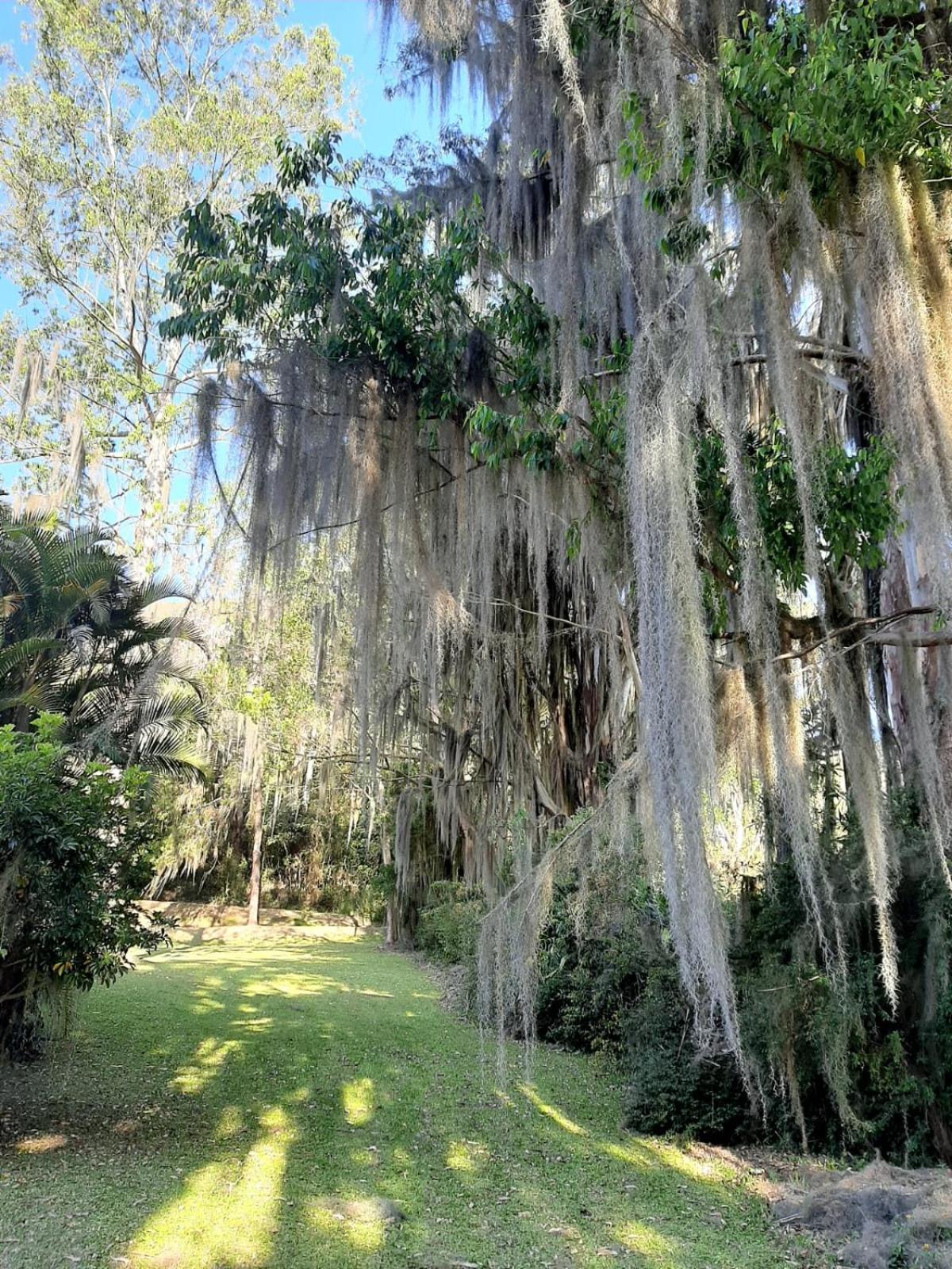 Sitio Riacho Das Pedras Teresópolis エクステリア 写真
